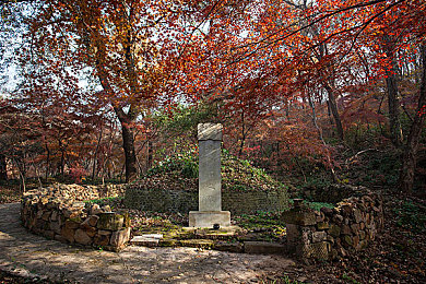 九九久热|九九久热探秘之旅:揭秘秋日炎炎的科学奥秘-1