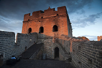 仙踪林大豆行情金属加工网｜穿越仙踪林，解锁农业工业双重秘境