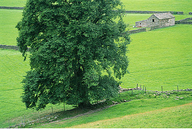 蜜月直播｜蜜月直播兴起：分享旅行乐趣还是隐私安全隐患？-2