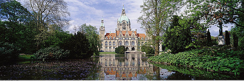 把 伸女人的 WWW｜网络阴影下的女性维权：破解“把伸女人的WWW”之谜-1