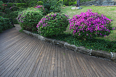 火辣辣福利污APP导航|发现精彩瞬间,畅游火辣辣APP世界-3