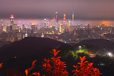 国产9麻豆剧果冻传媒何苗｜年轻人的奋斗与梦想交织的故事探索-2