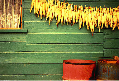 公车手伸进胸罩里揉捏|公交惊魂:胸罩下的罪恶之手-1