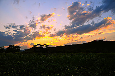 黑色DD4安装包男男｜网络净化行动：揭露黑色DD4安装包的罪恶真相-1