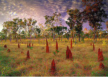老太婆体内 精｜82岁老太体内惊现精细胞，医学界关注老年人健康之谜-3