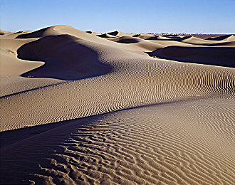 中国老太太HID｜科技守护夕阳红，智慧养老新篇章-2