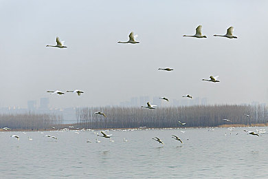 绿巨人涩涩屋黄品汇｜多元消费新潮涌动：绿巨人涩涩屋黄品汇背后的市场风云-2