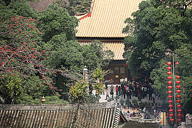 胡桃用手抠出许多白色粘液咋办｜白色粘液之谜：守护健康之旅-1