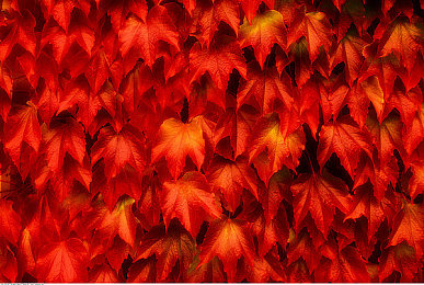 10月电子厂全景沟厕｜电子厂环保新篇章：全景沟厕工程助力绿色崛起，提升企业形象与员工福祉-1