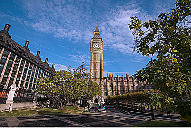 婷婷五月天成人网｜网海探秘，婷婷五月天视听盛宴独领风骚-2