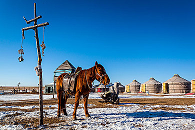 体育生GaYGAYS 亚洲｜青春热血竞技场，亚洲体育星崛起-1
