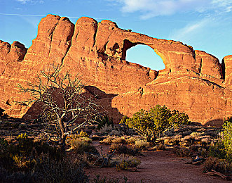 第一次和公翁圆房｜新人别开生面公翁圆房仪式：传统与现代交融引发热议-2