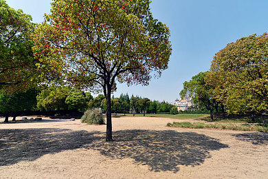 mm直播|mm直播风云,畅游视听盛宴,共赴新潮流之旅-2