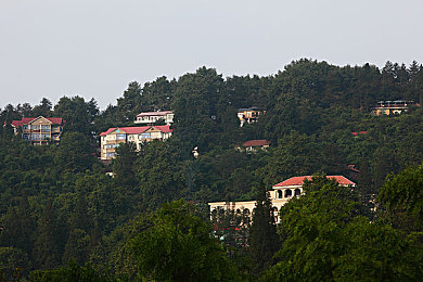 五月丁香六月｜五月丁香绽放，六月阳光颂歌，共赏盛世华章-2