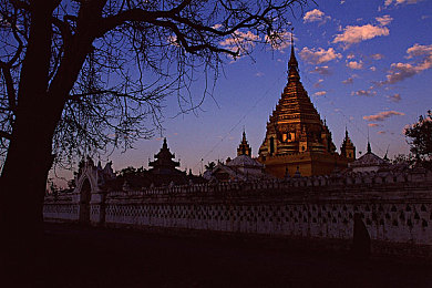 芒果管鲍中心分拣中心｜科技赋能农产，芒果管鲍中心引领高效物流新篇章-1