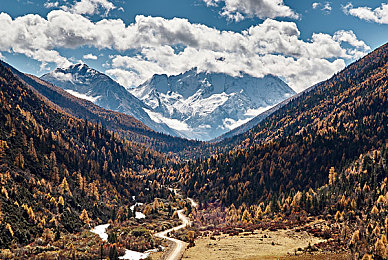 思思热99｜乐享无限，“思思热99”音乐影视宝库，轻松畅游欢乐时光