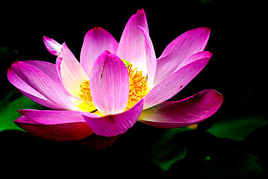 机机对机机30分钟|人工智能巅峰对决:30分钟对话挑战赛,见证AI未来-2