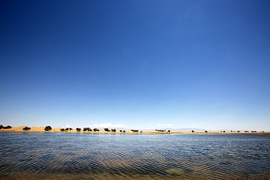 男人与雌性宠物交啪啪｜道德沦丧，兽行挑战伦理底线，动物权益谁来守护？-3