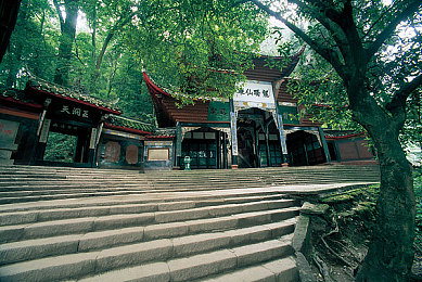 python人马配对｜Python编程奇遇：人马配对，高效编程之旅-2