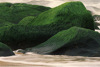 王者荣耀女角色被红绳束手束脚悬吊图片｜“王者荣耀女角色束缚图片引热议：游戏审查需加强，守护青少年健康成长”-1