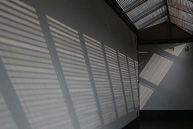 非洲巨人vs侏儒巨人|探寻非洲巨人与侏儒巨人之谜:一场跨越时空的神秘较量-2