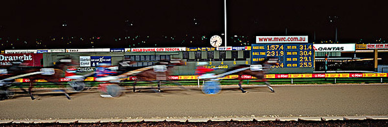 中国农村树林性BBw｜守护绿色家园：探寻中国农村树林秘境-1