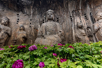 少女视频哔哩哔哩播放的内容介绍｜哔哩哔哩少女视频，青春成长的多元表达与反思-2