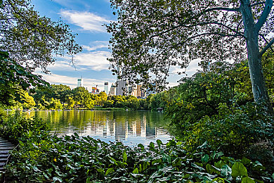 明星造梦工厂｜演艺梦想启航，星光璀璨成就非凡之路