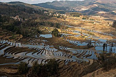 魅影看B站直播可以吗手机版｜指尖直播探秘：魅影游戏，B站手机版带你畅游虚拟战场-3