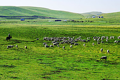 娇小亚女挑战巨大黑迪克｜娇小勇士挑战巨兽BOSS：勇智并重，奇幻冒险游戏引关注-2