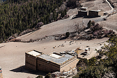 刘亦菲的B站视频全部播放次数｜刘亦菲B站视频播放千万次，神仙姐姐魅力征服粉丝心-1