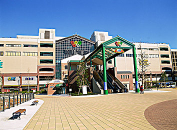 男女打扑克差差差|性别对决扑克秘籍:破解心理差异,赢在策略制高点-2