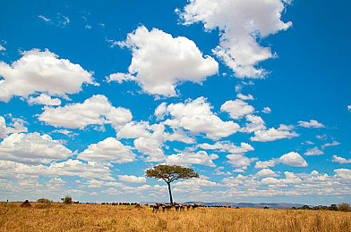 砍人血腥网站入口｜网络暴力惊悚：揭秘“砍人血腥网站入口”事件，道德沦丧引深思-3