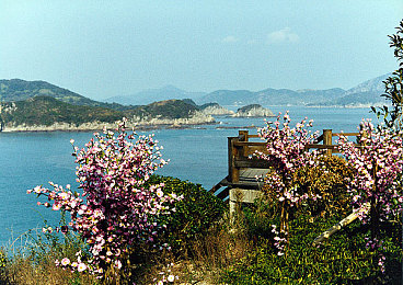 一个好妈妈8个字光头|八字母爱,育儿智慧:光头妈妈的温馨启示之旅-1