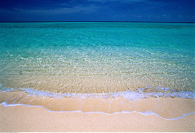 3d 动漫 巨大 扶她｜3D动漫巨作《扶她》揭秘：独特魅力与观影技巧全解析