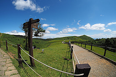 男男gv网站｜揭秘私密乐园：男男GV网站，隐私互动新体验-1