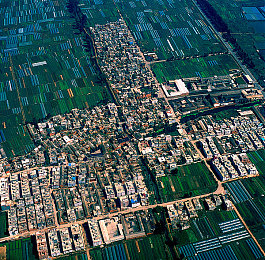 ai换脸赵丽颖被c到高潮|AI换脸奇术重塑赵丽颖,娱乐新境界无限绽放-2