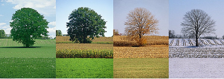 巨大 妓女 动漫｜争议漩涡中的动漫：反思“巨大妓女”形象的伦理与价值-2