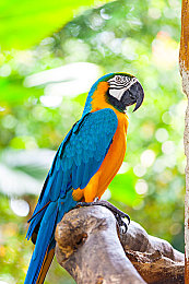 51cgcg2.fun怎么打开｜轻松解锁51cgcg2.fun，畅游信息海洋：实用访问指南大揭秘-2