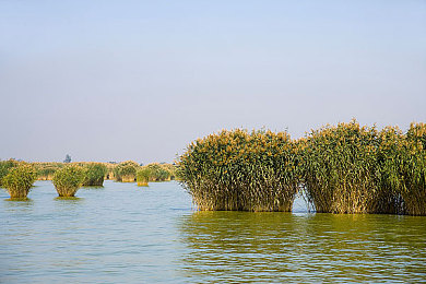 潘甜甜封神三部曲名字｜神话新篇，潘甜甜封神三部曲，奇幻旅程启幕，期待文学盛宴-1