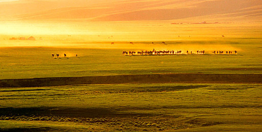 78m隐藏通道5｜神秘逃生通道大揭秘：78米隐秘通道5，应急利器解锁生存术-4