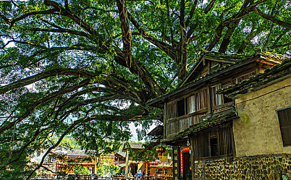 无尽 得到 向上 讨厌 可爱 无尽动漫｜梦想启航，忍者传奇之旅-1