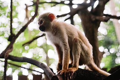 粉色abb苏州粉色晶体结构｜梦幻科技，粉晶ABB苏州演绎视觉与智能的双重盛宴-2