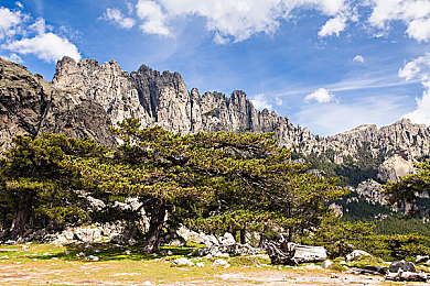 漂亮儿媳秦雨老旺结局怎么样｜秦雨逆袭成功：从坎坷命运到幸福人生，电视剧《漂亮儿媳秦雨老旺》结局揭秘引热议-1