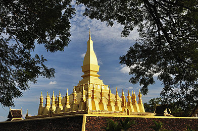 一小孩和妈妈一起生猴子萝卜黄｜亲子共育奇趣“猴子萝卜黄”，自然教育温馨进行时