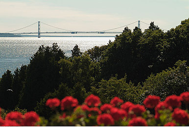男生日女生的软件|“记录心语,共庆女生日,性别平等新风尚”-1