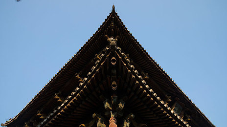 八戒,八戒网剧在线观看8|猪妖逆袭:八戒奇幻战记,勇闯八集奇缘-1