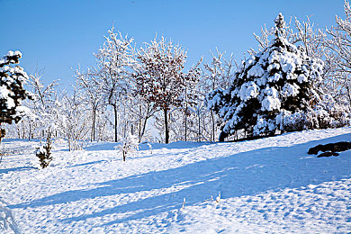 女神▌麻酥酥哟▌白丝JK|校园邂逅,白丝心动:青春游戏的浪漫旅程-2