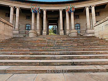 妈妈用手指在狗儿后背写字｜指尖传情，母爱犬意，温暖瞬间感动万千网友-1