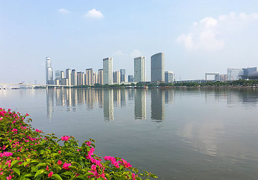 91探花｜网络传奇“91探花”：游戏巅峰对决，才华绽放之旅-2